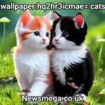 wallpaper:hq2hr3icmae= cats