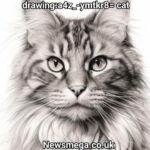 drawing:a4z_-ymtkr8= cat